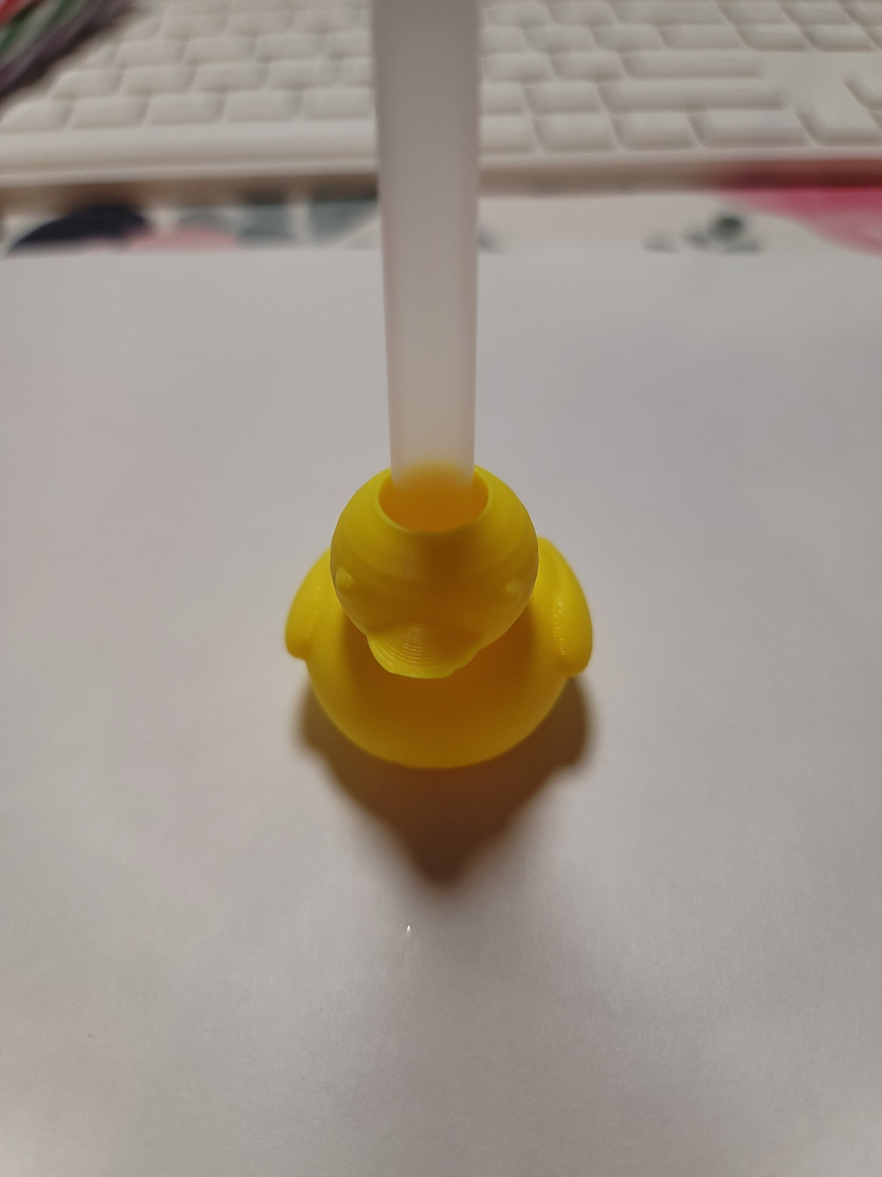 Duck