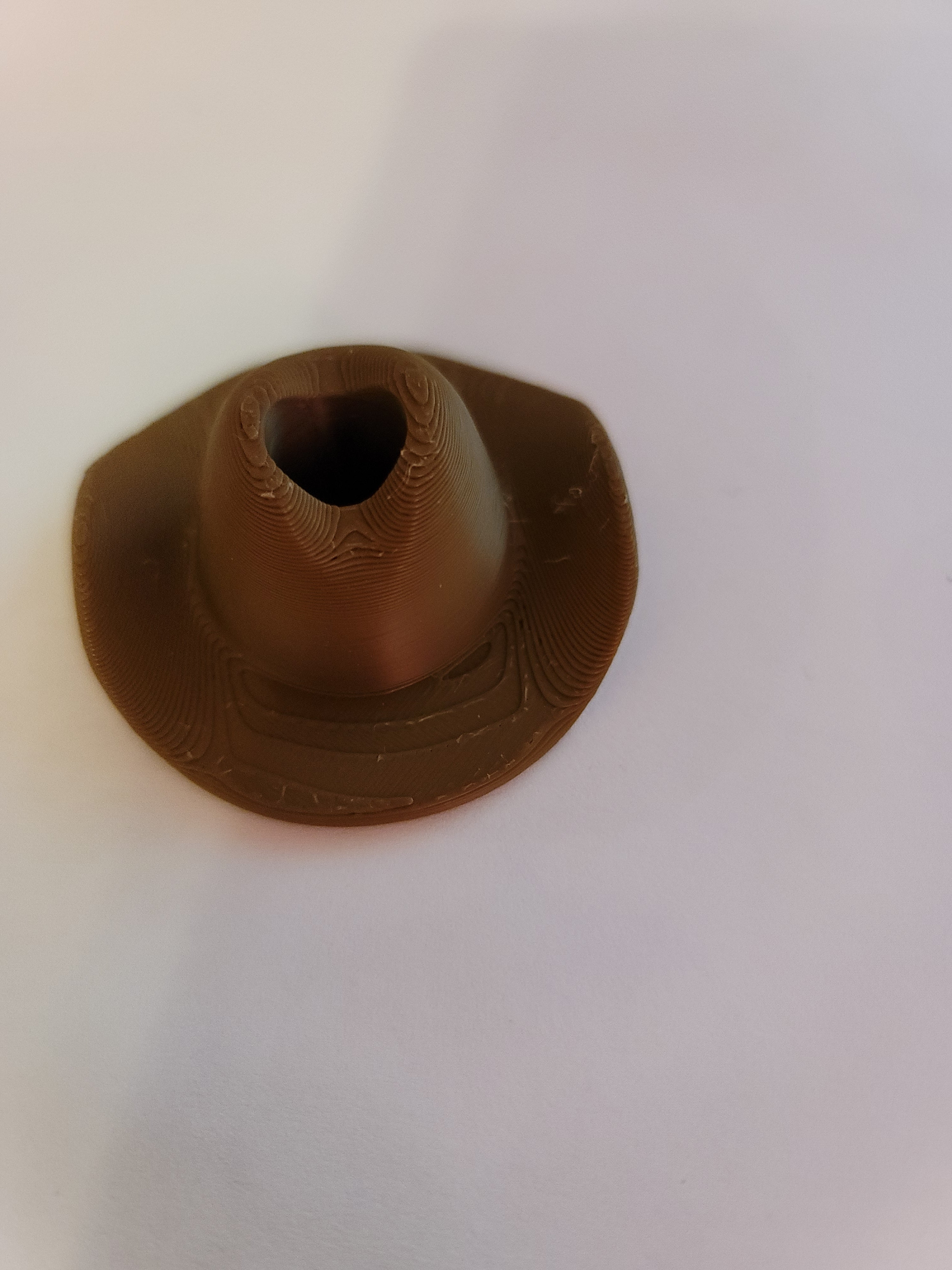 Brown Cowboy Hat